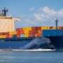 How Does Sea Freight Work? A Complete Guide
